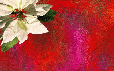 13 Tips for Stress Free Christmas Giving