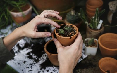 Research Into Coping Mechanisms in Anxiety & Depression