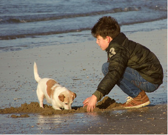 boy and dog playing outdoors