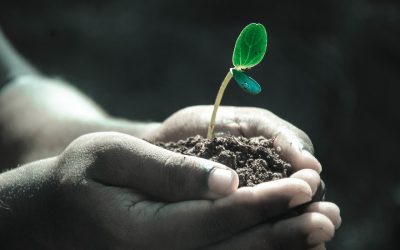 Transforming Communities Through Kindness