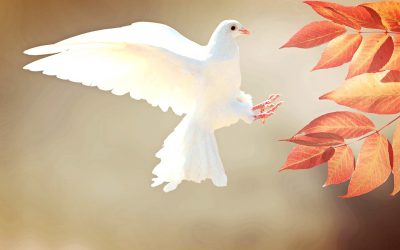 Why Christian Counselling Training For Church Leaders Is Needed