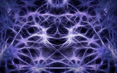 Neuroplasticity – The Good News About NEW Brain Disorders