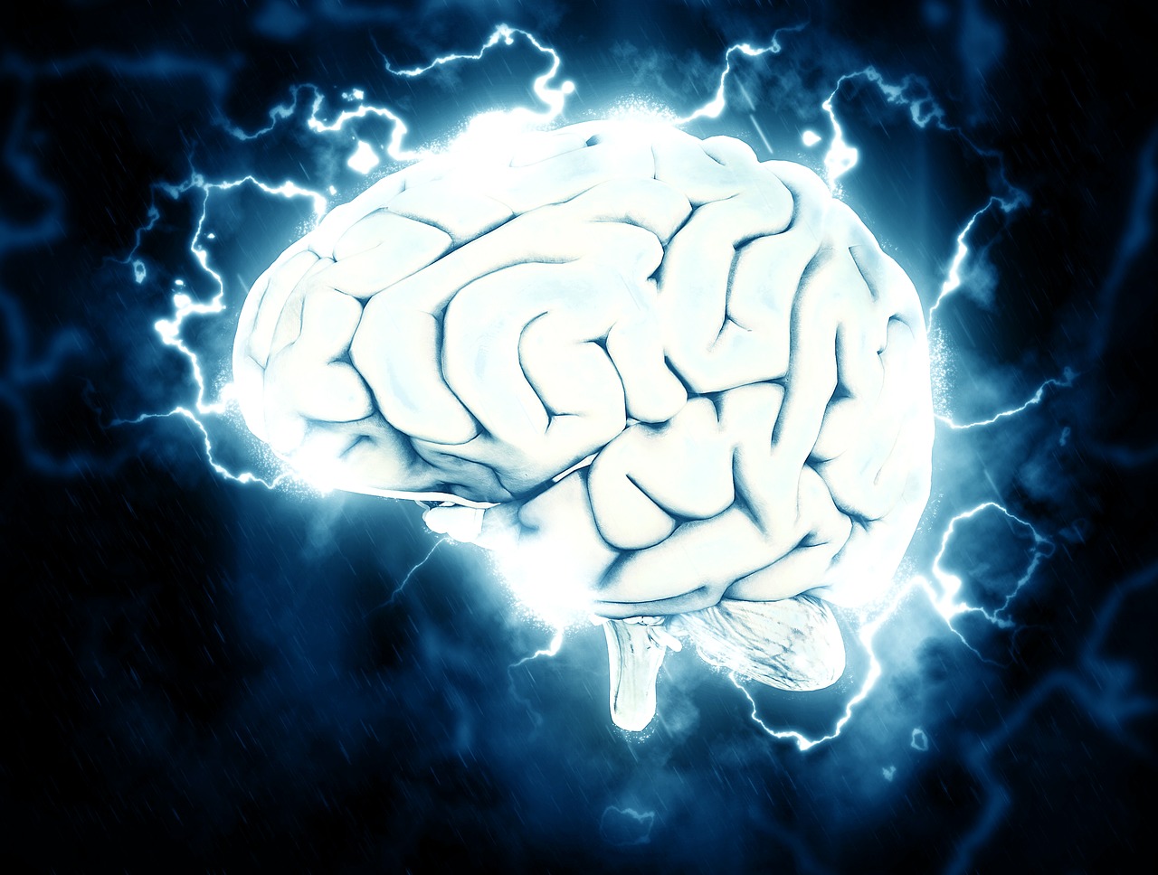 The Neurolasticity of the Brain
