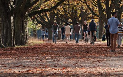 5 Great Reasons To Get Out For A Walk Today