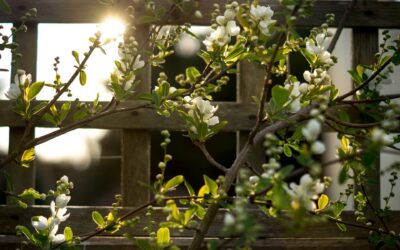 An Invitation to Flourish