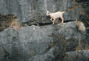 Feeling stuck in your faith and longing for renewal in Christ