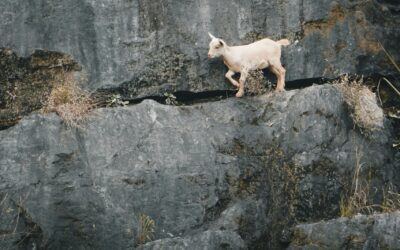 Want to get unstuck? – Gods Ancient Wisdom Rediscovered