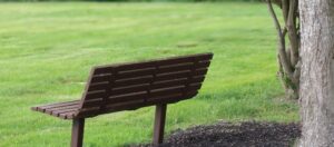 Empty park bench surrounded by trees, symbolising grief, loss, and quiet reflection